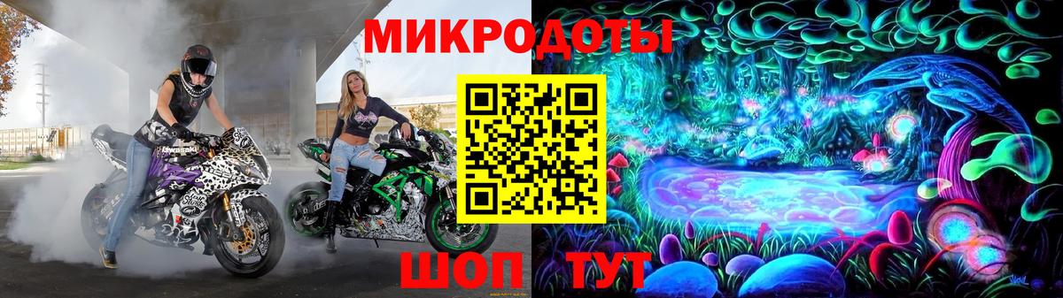 Псилоцибиновые грибы Psilocybine cubensis Заринск