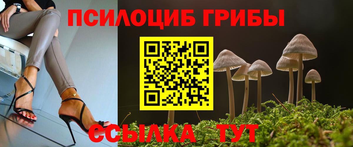Заринск  Галлюциногенные грибы мухоморы  Галлюциногенные грибы прущие грибы  Вход с VPN 