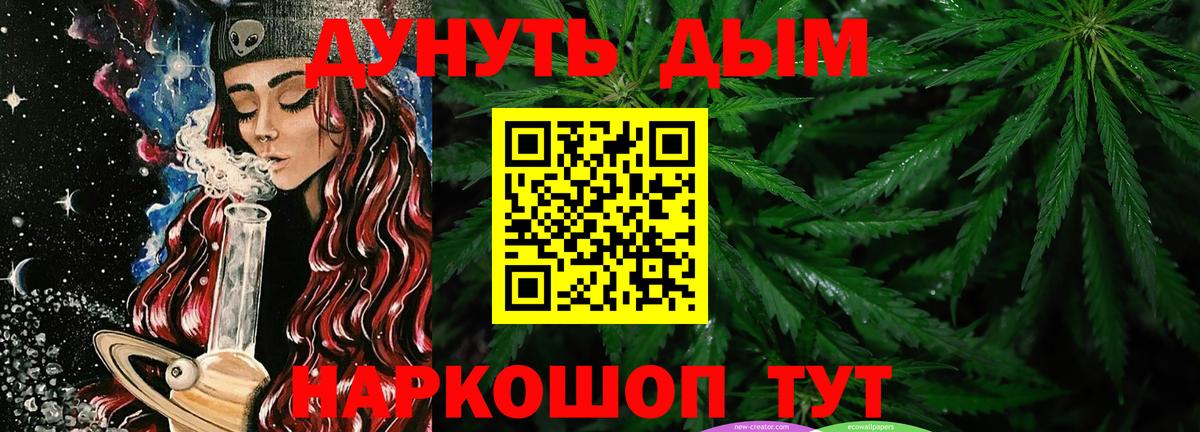 Каннабис план Заринск